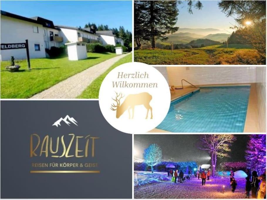 Urlaub Auf 1.000 Meter Hoehe Mit Pool Und Sauna Schönwalde Extérieur photo