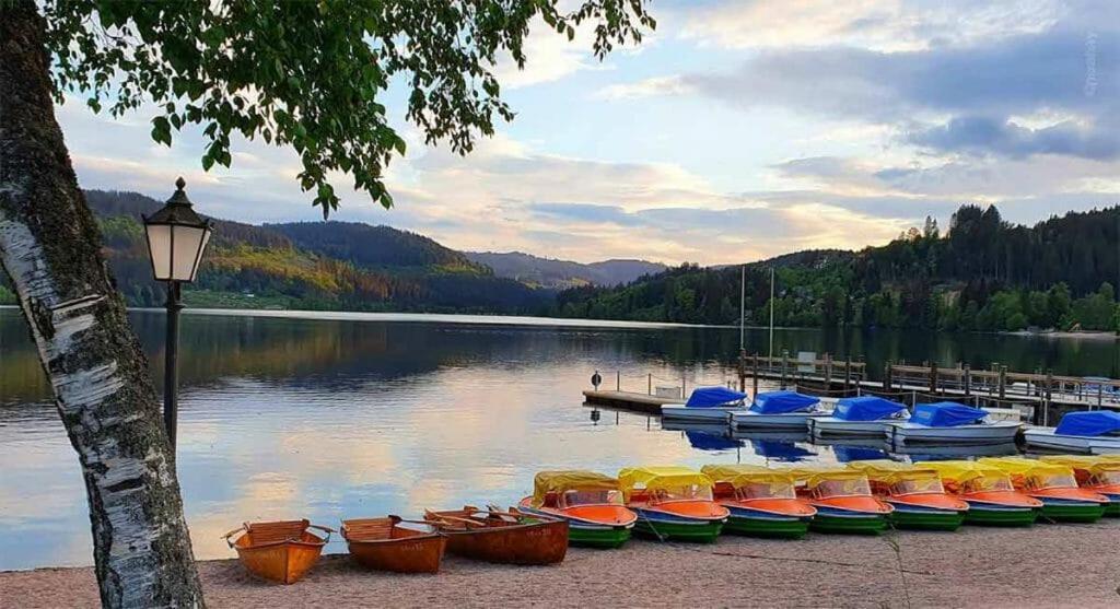 Urlaub Auf 1.000 Meter Hoehe Mit Pool Und Sauna Schönwalde Extérieur photo