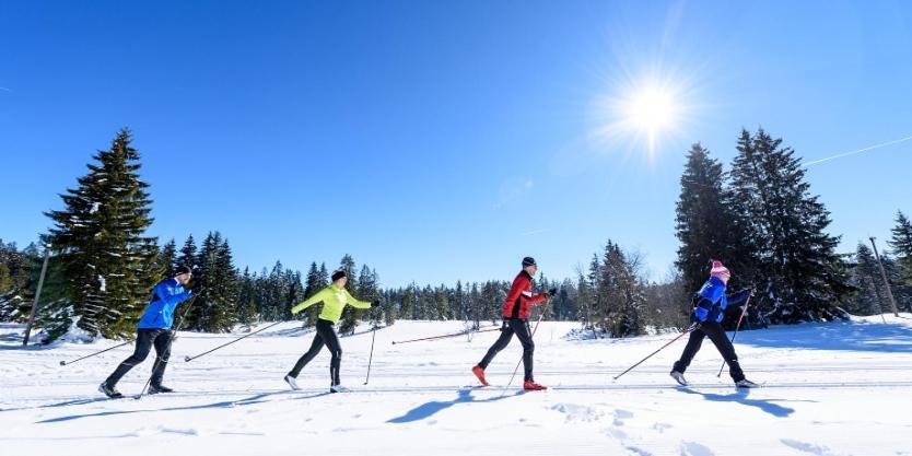 Urlaub Auf 1.000 Meter Hoehe Mit Pool Und Sauna Schönwalde Extérieur photo