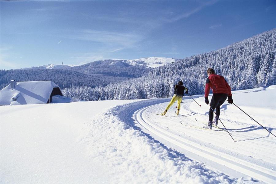 Urlaub Auf 1.000 Meter Hoehe Mit Pool Und Sauna Schönwalde Extérieur photo