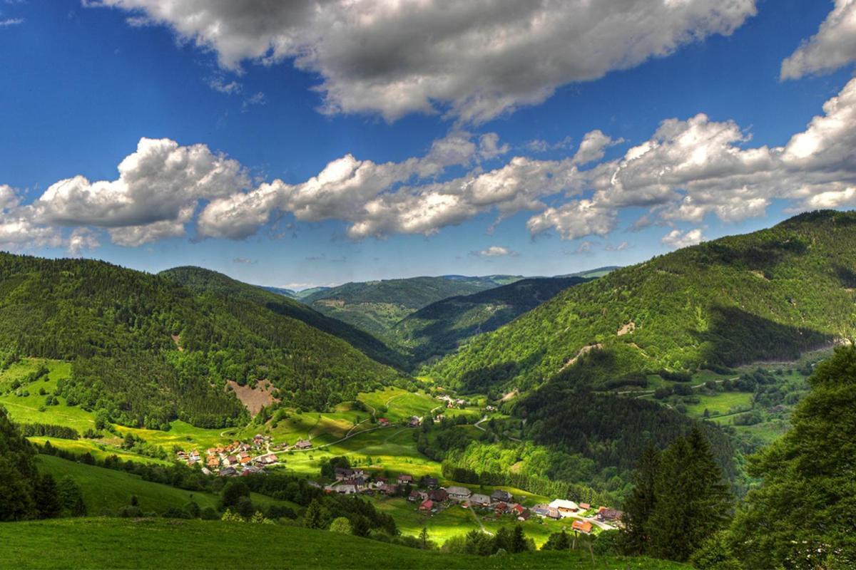 Urlaub Auf 1.000 Meter Hoehe Mit Pool Und Sauna Schönwalde Extérieur photo